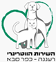 כלבים לאימוץ