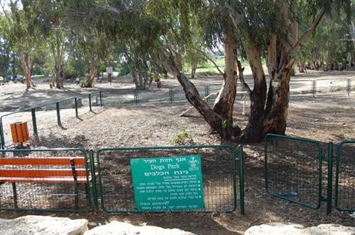 תמונת פוסט "פארכלב היער הקטן" – רחוב ארלוזורוב פינת פרדס משותף