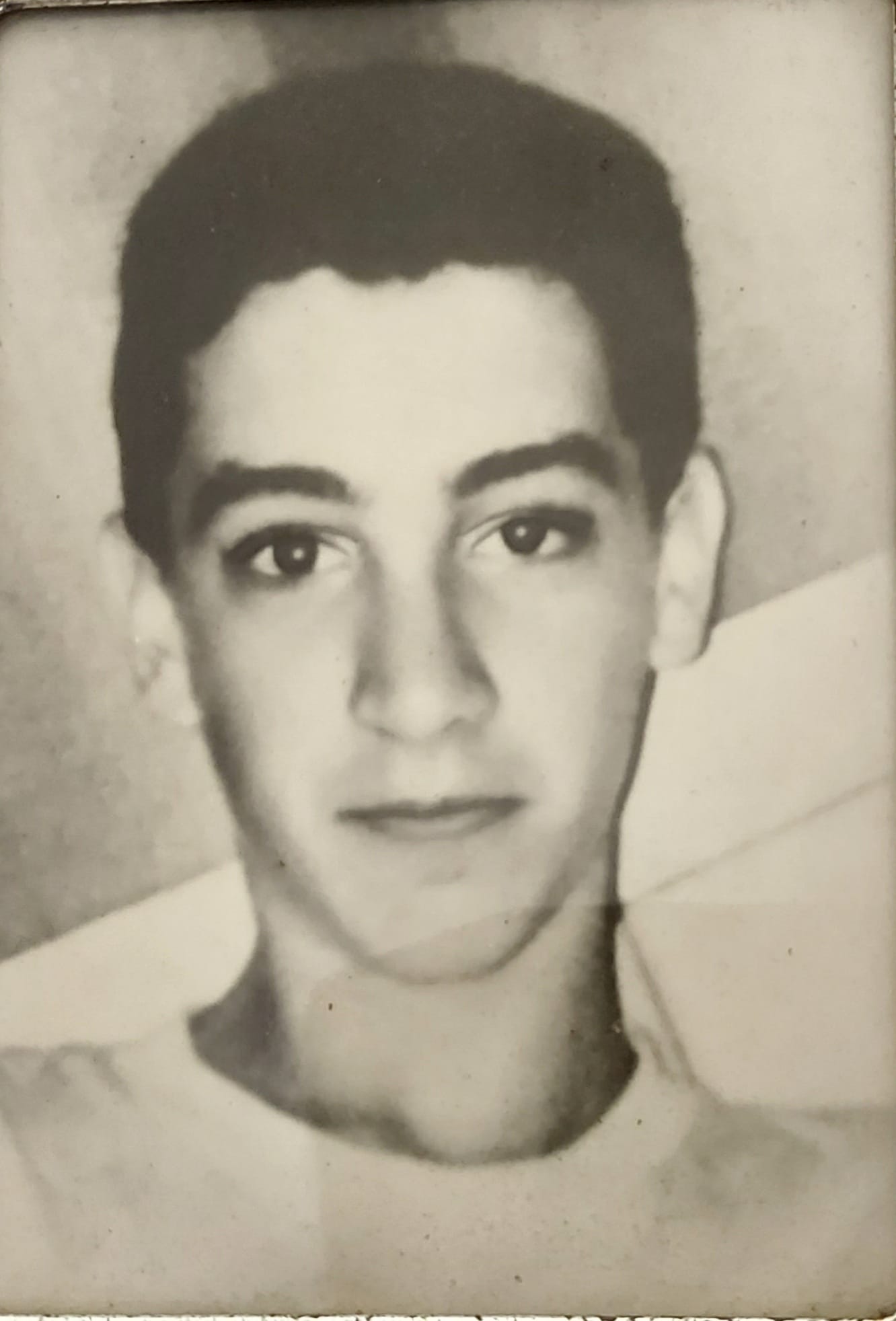 אלון20בורלא20זל 1