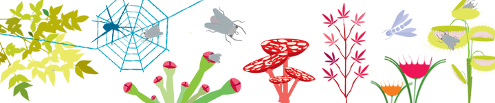 bannertest