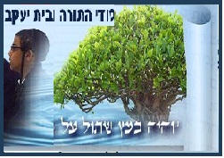 תמונת פוסט עצמאי